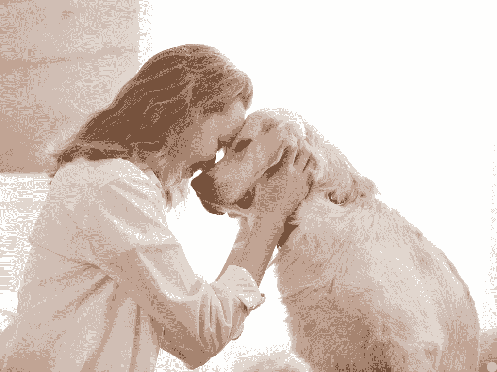 Neutracil is designed for various applications, from soothing hot spots on pets to treating minor cuts and scrapes on humans. Its versatility makes it an essential part of any first-aid kit, ensuring you are prepared for any unexpected situation. Versatile Use What We Offer This is a landing page for a product called Neutracil.
The Grocer's Pet Neutracil – Nature’s Gentle Power for Pets & People
Hypochlorous Acid Spray for Pets & People – All-Natural Healing and Protection
Our premium Hypochlorous Acid (HOCl) spray is a safe, natural solution for wound care, skin relief, and infection prevention. Trusted by veterinarians, holistic practitioners, and pet owners, HOCl mimics the body’s own immune defense to kill harmful bacteria, viruses, and fungi—without harsh chemicals or irritation.
Neutralize bacteria, viruses and fungi safely, for your whole family! Heal and soothe skin.
Perfect for Pets:
Hot Spot Relief – Calm itching and reduce inflammation
Wound & Post-Surgery Care – Promote faster healing while keeping the area clean
Eye & Ear Safe – Gently clean tear stains, ear debris, and sensitive skin
Odour Control – Neutralize pet smells at the source
Perfect for People:
First-Aid Essential – Clean and protect minor cuts, scrapes, and burns
Skin Soothing – Reduce redness, Neutracil is designed for various applications, from soothing hot spots on pets to treating minor cuts and scrapes on humans. Its versatility makes it an essential part of any first-aid kit, ensuring you are prepared for any unexpected situation. Versatile Use What We Offer This is a landing page for a product called Neutracil.
The Grocer's Pet Neutracil – Nature’s Gentle Power for Pets & People
Hypochlorous Acid Spray for Pets & People – All-Natural Healing and Protection
Our premium Hypochlorous Acid (HOCl) spray is a safe, natural solution for wound care, skin relief, and infection prevention. Trusted by veterinarians, holistic practitioners, and pet owners, HOCl mimics the body’s own immune defense to kill harmful bacteria, viruses, and fungi—without harsh chemicals or irritation.
Neutralize bacteria, viruses and fungi safely, for your whole family! Heal and soothe skin.
Perfect for Pets:
Hot Spot Relief – Calm itching and reduce inflammation
Wound & Post-Surgery Care – Promote faster healing while keeping the area clean
Eye & Ear Safe – Gently clean tear stains, ear debris, and sensitive skin
Odour Control – Neutralize pet smells at the source
Perfect for People:
First-Aid Essential – Clean and protect minor cuts, scrapes, and burns
Skin Soothing – Reduce redness,