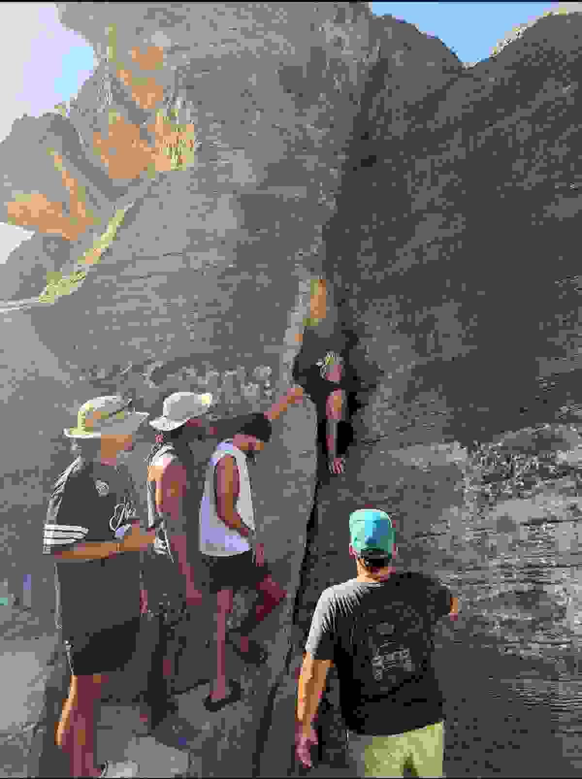 Section image