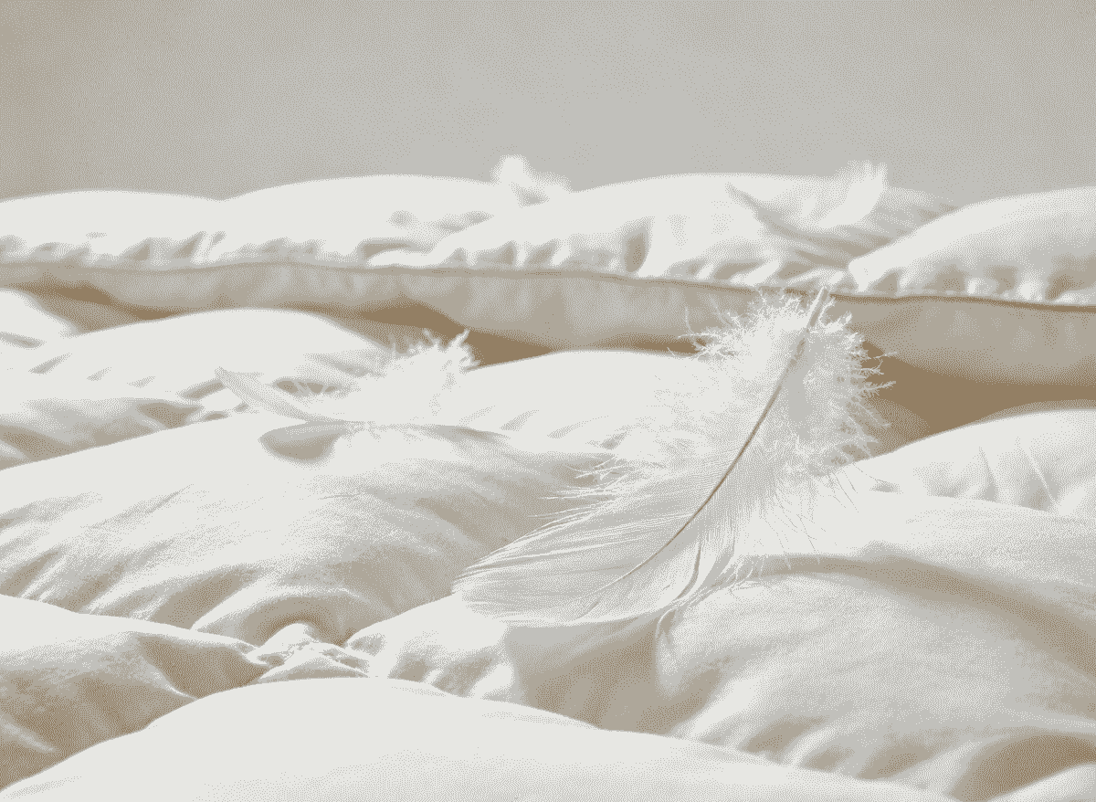 我们的毛巾系列包括浴巾、手巾和面巾,提供多种克重选择,适合各种环境。 全面洗浴产品 我们提供的服务 Hotel Fabrics
• Bedding fabrics (TC, 100% cotton, sateen, percale, etc.)
• Custom woven patterns
• Various thread counts available
• Project-based customization
Hotel Bedding
• Bed sheets
• Duvet covers
• Pillowcases
• Mattress protectors
Towels
• Bath towels
• Hand towels
• Face towels
• Pool towels
• Various GSM options
Down Products
• Duvets
• Pillows
• Mattress toppers
• Different filling options available 只需要简单网站,不需要数据库,不需要订单 不需要商城,只单纯做宣传 我们的毛巾系列包括浴巾、手巾和面巾,提供多种克重选择,适合各种环境。 全面洗浴产品 我们提供的服务 Hotel Fabrics
• Bedding fabrics (TC, 100% cotton, sateen, percale, etc.)
• Custom woven patterns
• Various thread counts available
• Project-based customization
Hotel Bedding
• Bed sheets
• Duvet covers
• Pillowcases
• Mattress protectors
Towels
• Bath towels
• Hand towels
• Face towels
• Pool towels
• Various GSM options
Down Products
• Duvets
• Pillows
• Mattress toppers
• Different filling options available 只需要简单网站,不需要数据库,不需要订单 不需要商城,只单纯做宣传