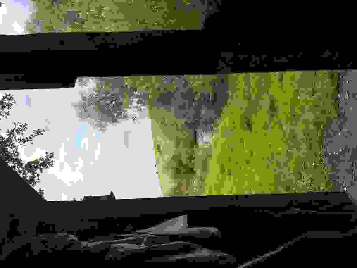 Section image