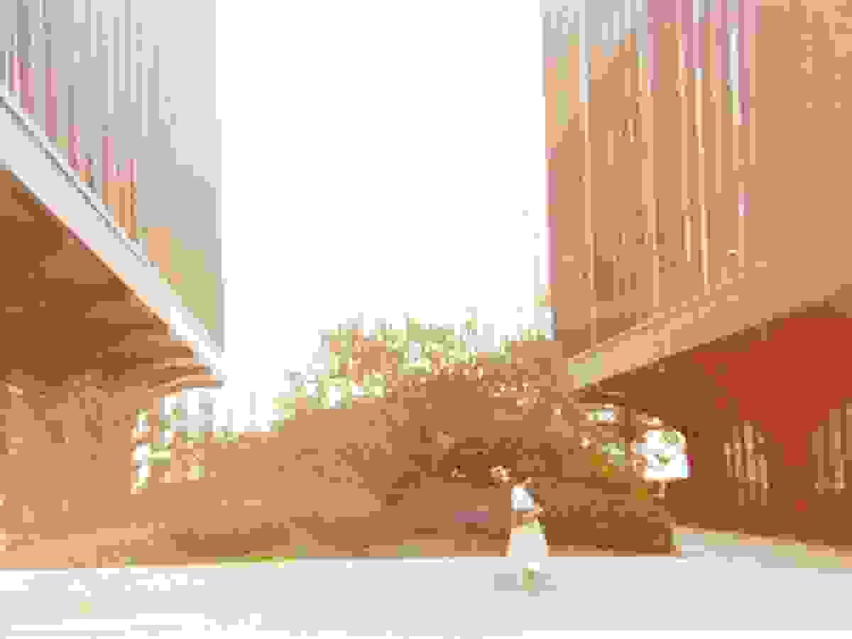 Section image