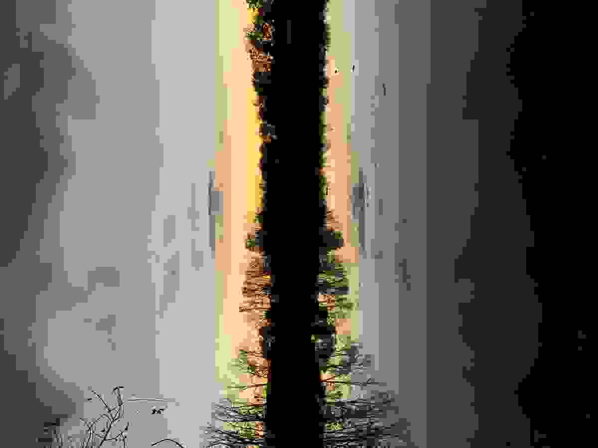 broken image