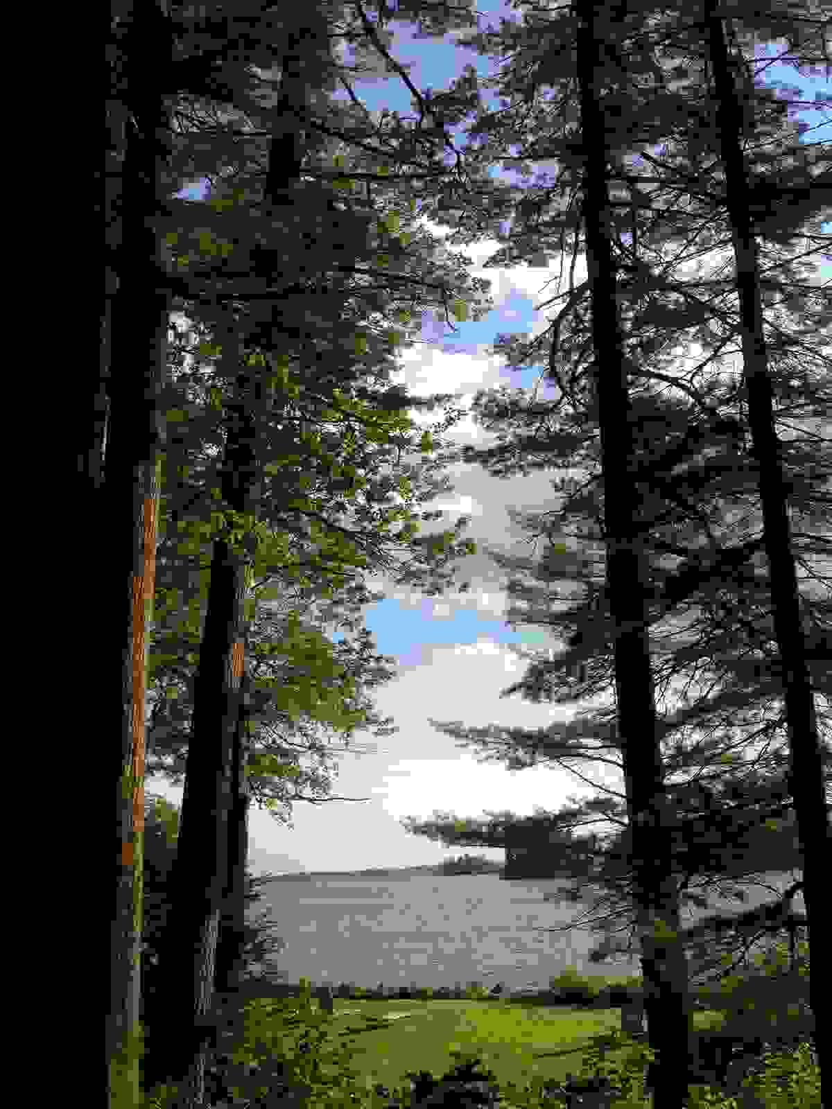 Section image