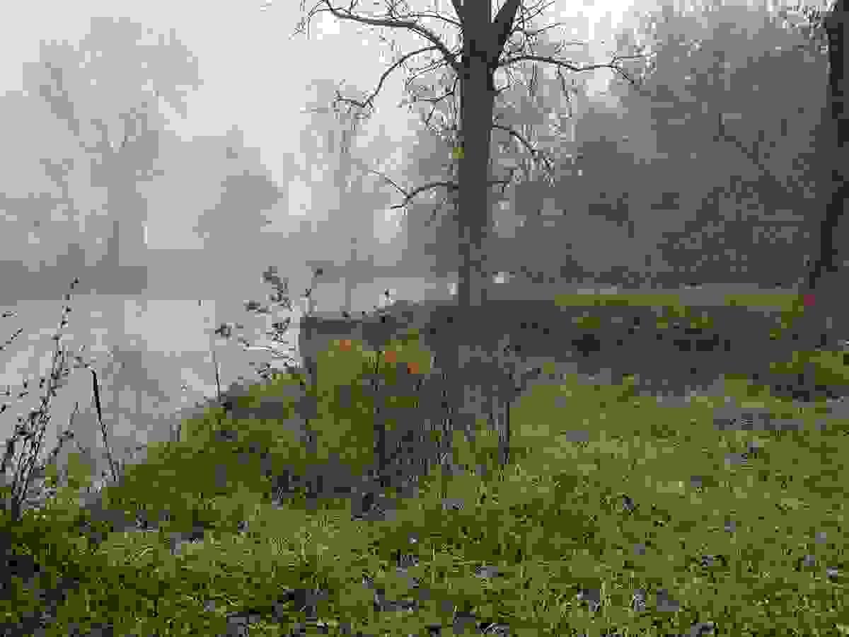 broken image