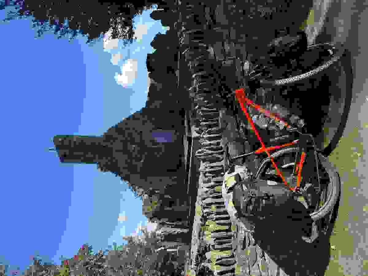 Section image