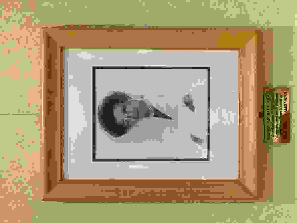 Section image