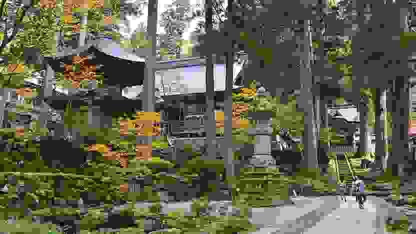 Section image