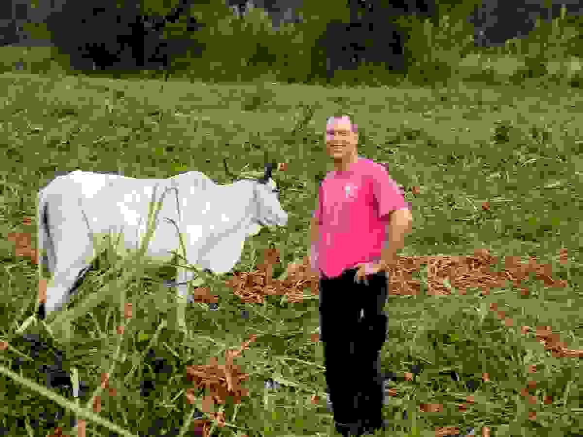 Section image