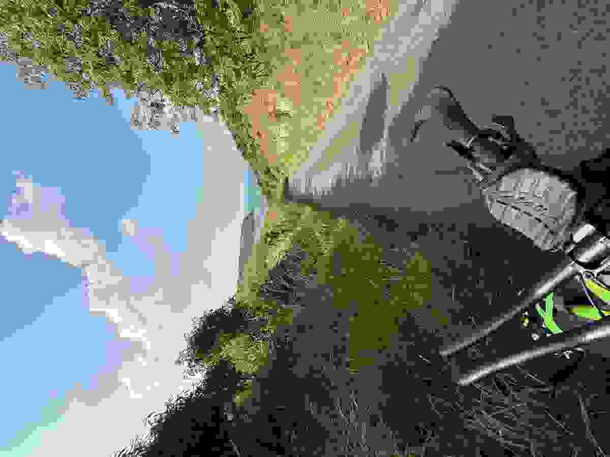 Section image