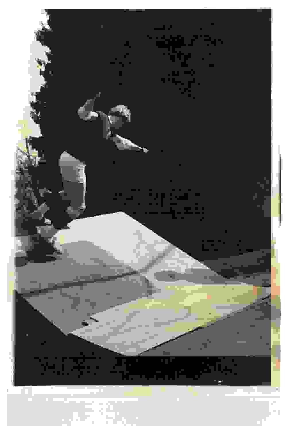 Section image
