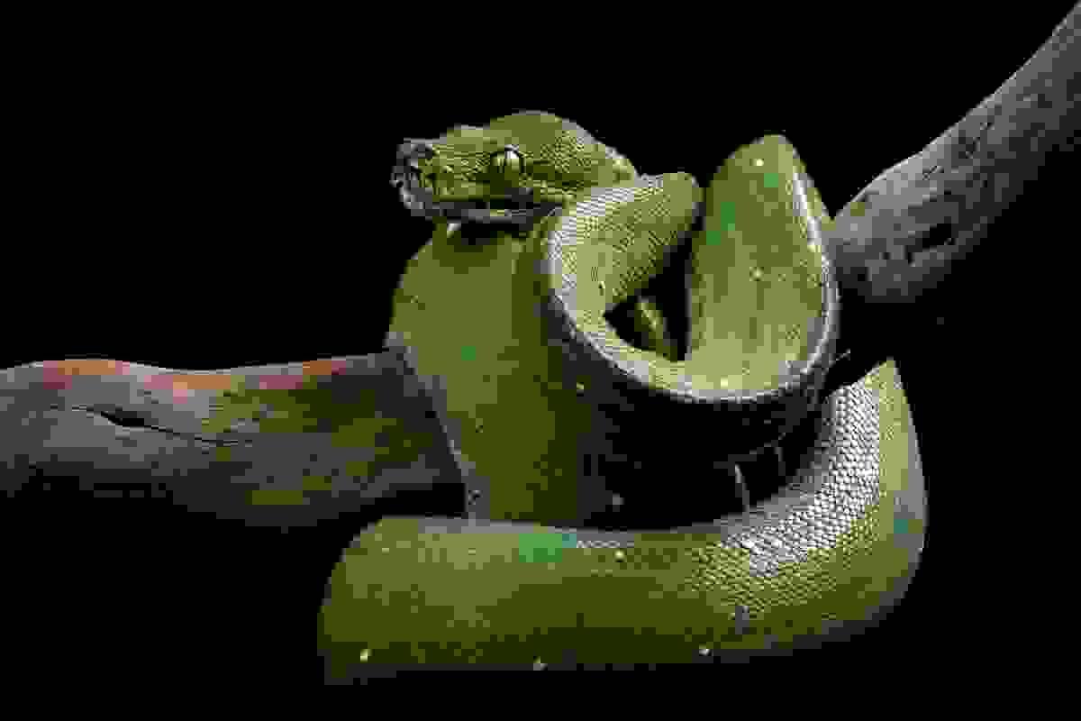 Section image