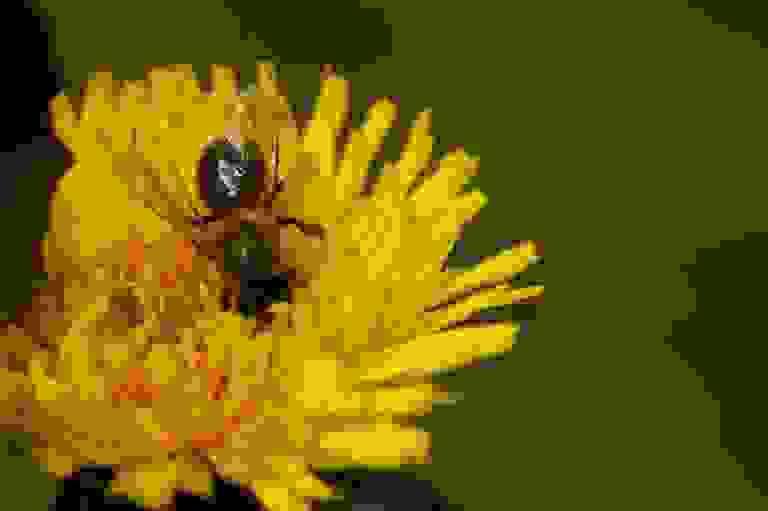 We specialize in transforming underutilized urban spaces into vibrant, functional areas. Our approach includes innovative landscaping that fosters community engagement and promotes a healthy urban lifestyle, making cities more enjoyable for everyone. Urban Space Transformation What We Do Create a modern, clean, and professional website for UTF – a company specializing in roof landscaping and urban space development.The design should feel natural, sustainable, and architectural.Use a color palette of deep green, earthy tones, light gray, and white.Style should be minimal, elegant, and corporate.HEADER (Sticky Navigation)HomeServicesAbout Us (Dropdown: Our Strategy, Our Mentor)Contact Us We specialize in transforming underutilized urban spaces into vibrant, functional areas. Our approach includes innovative landscaping that fosters community engagement and promotes a healthy urban lifestyle, making cities more enjoyable for everyone. Urban Space Transformation What We Do Create a modern, clean, and professional website for UTF – a company specializing in roof landscaping and urban space development.The design should feel natural, sustainable, and architectural.Use a color palette of deep green, earthy tones, light gray, and white.Style should be minimal, elegant, and corporate.HEADER (Sticky Navigation)HomeServicesAbout Us (Dropdown: Our Strategy, Our Mentor)Contact Us