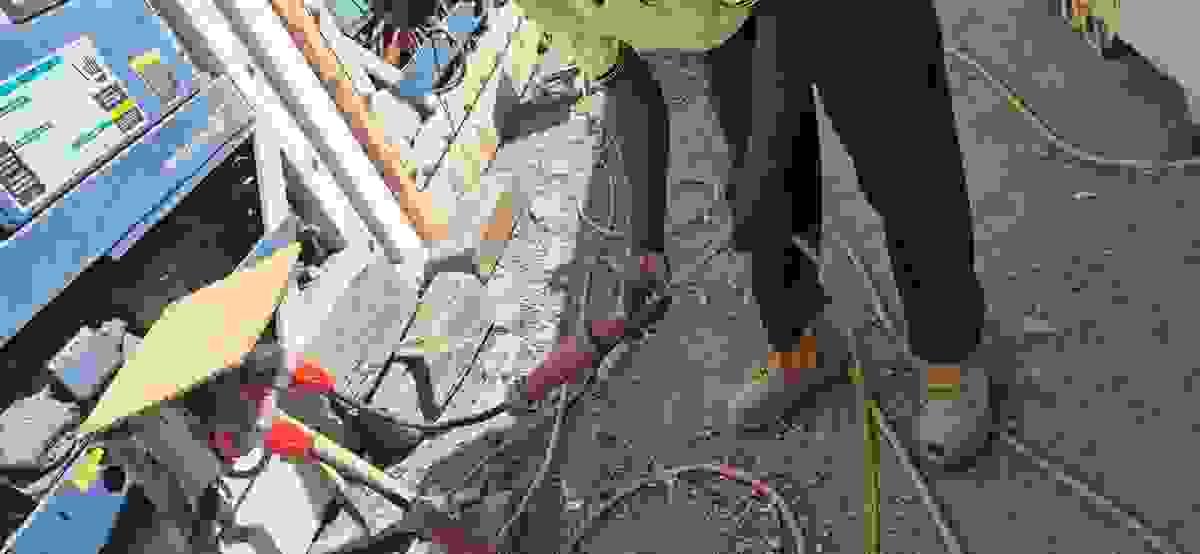 Section image