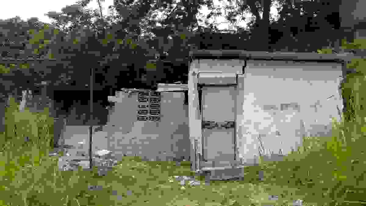 Section image