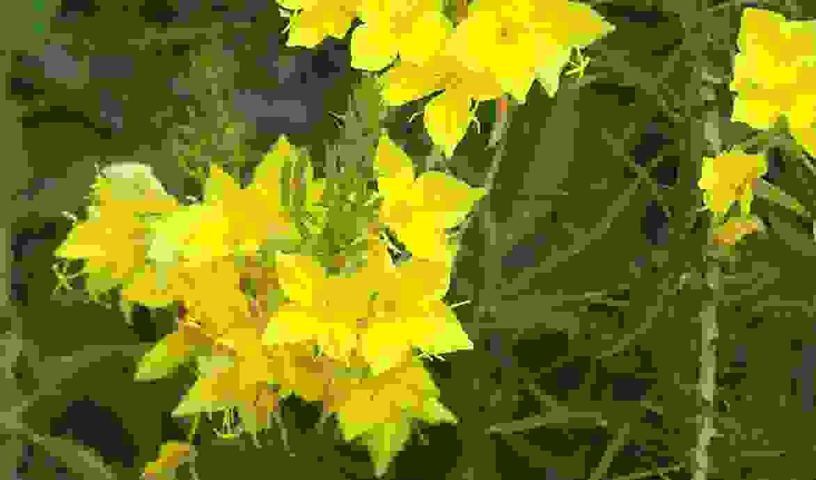 ATMAT pregnancy massage ATMAT pregnancy massage