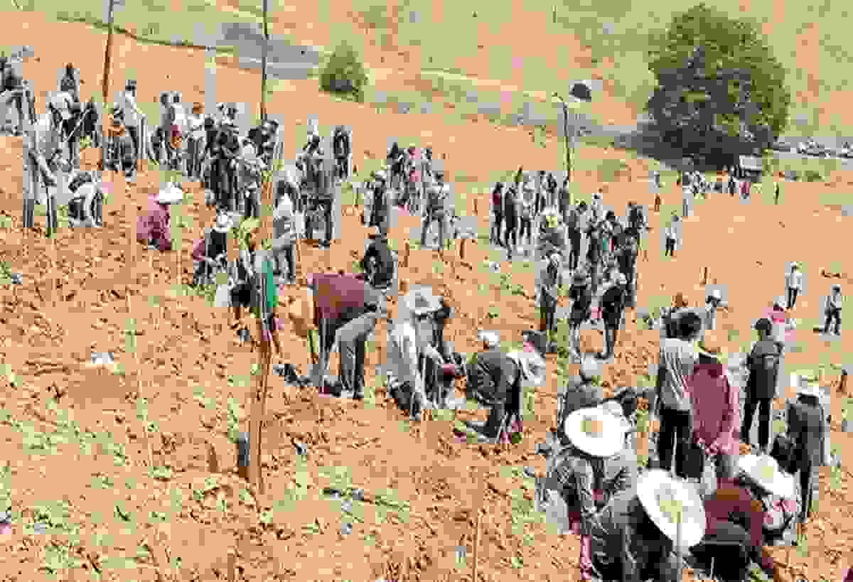 Section image