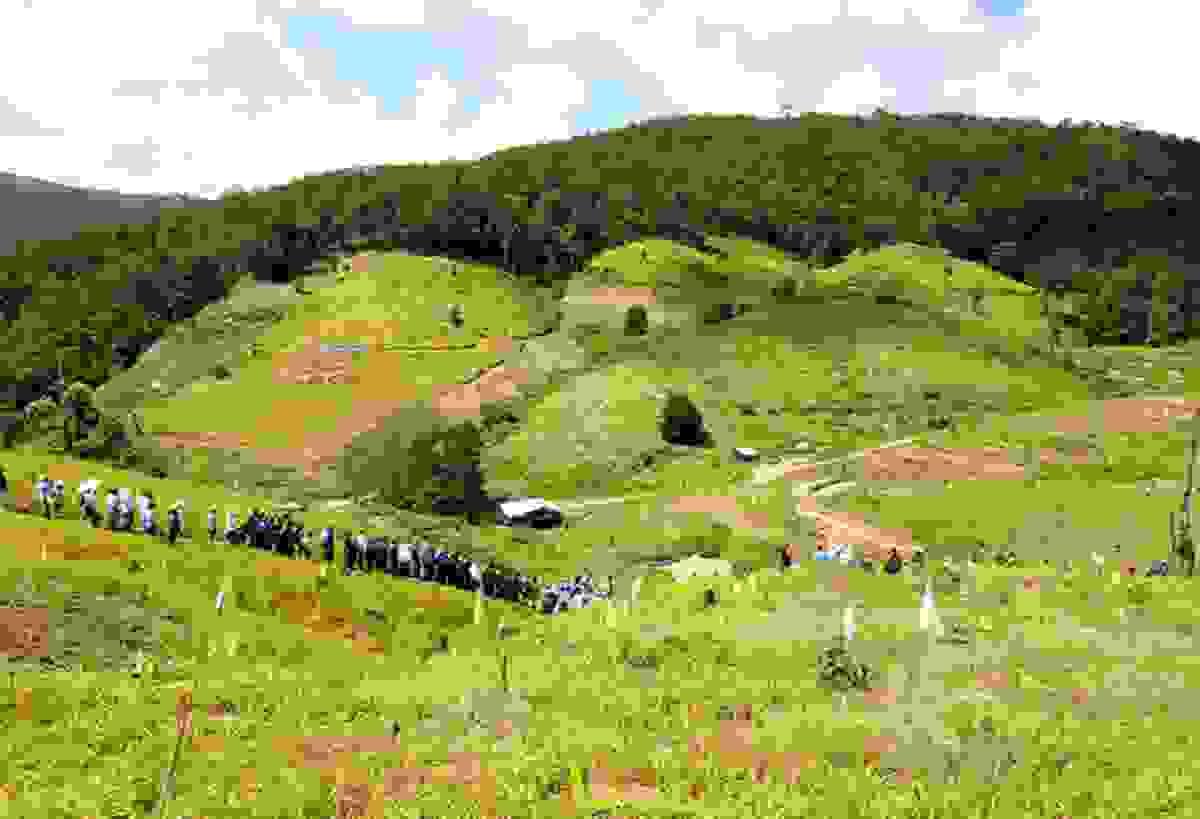 Section image