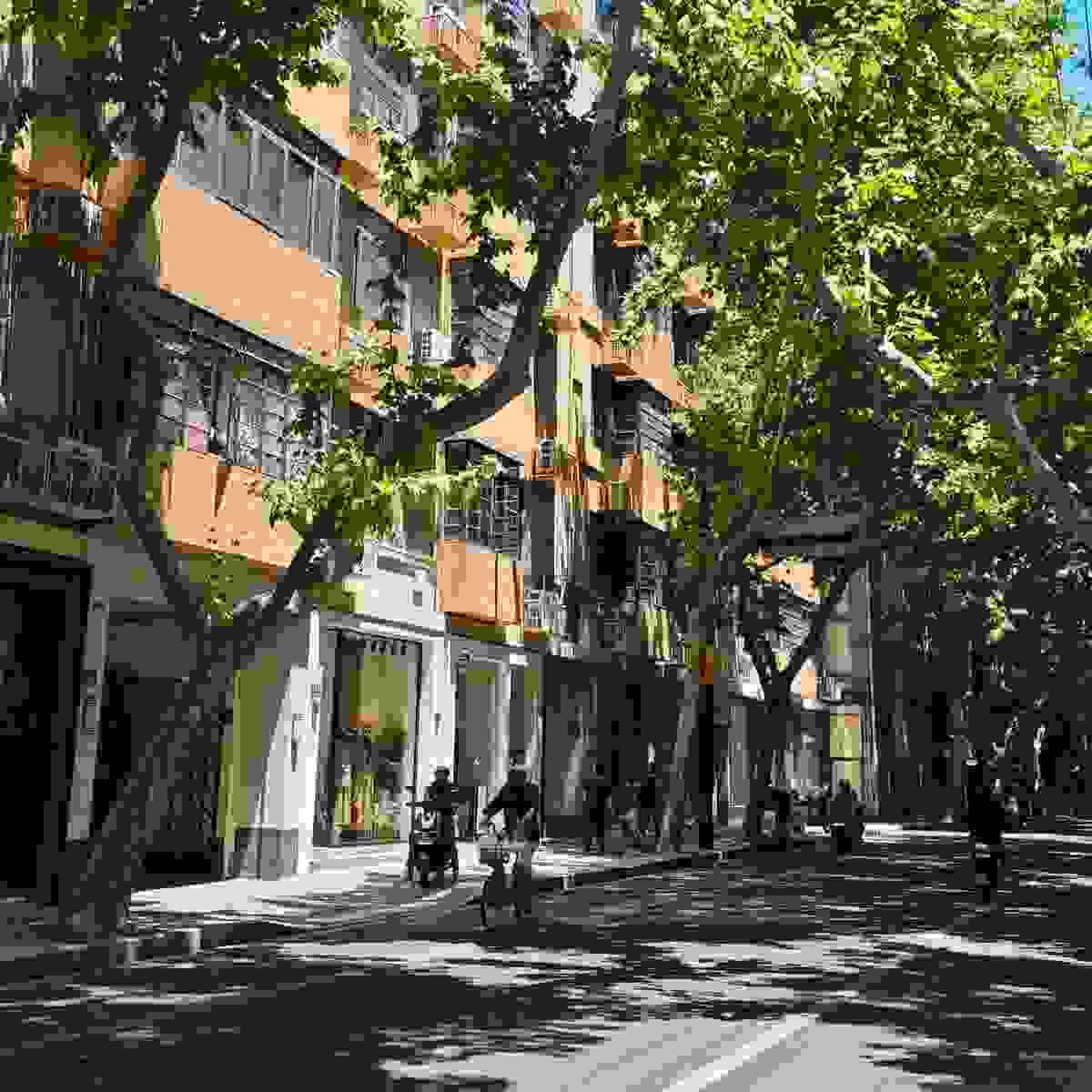 Section image