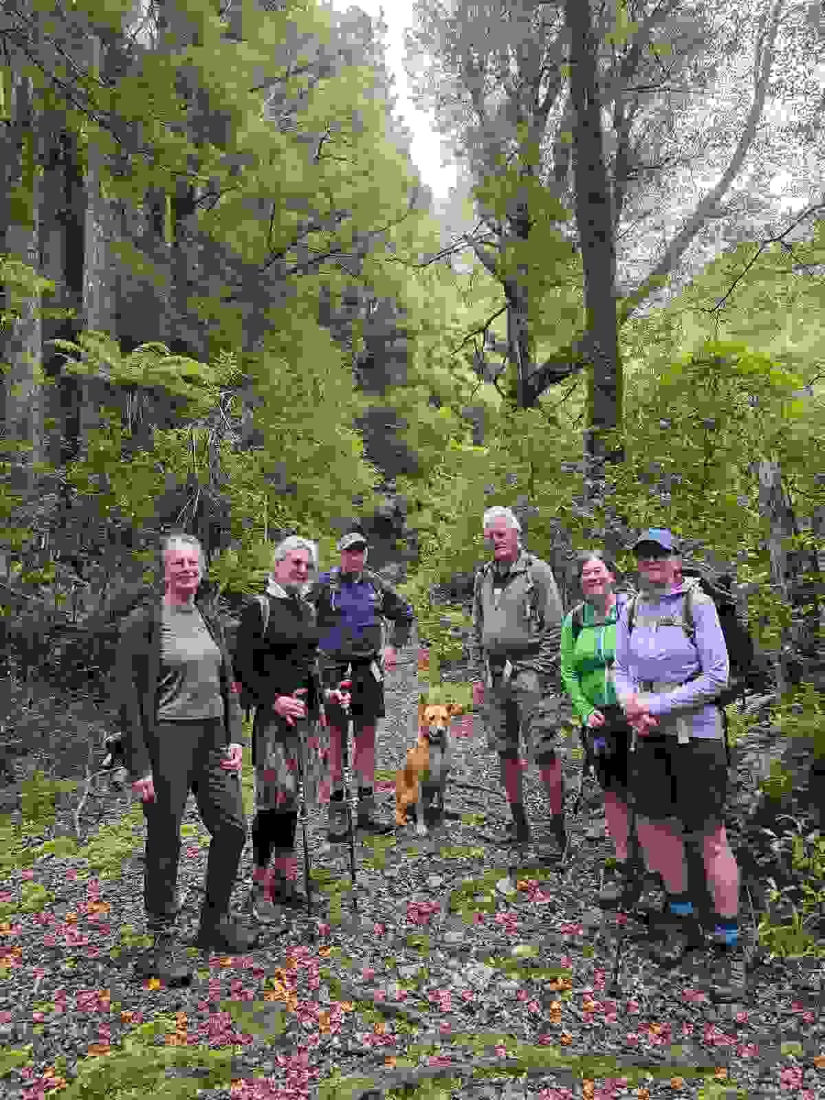 Section image