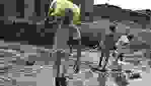 We regularly organize events that bring together our members to share experiences, exchange ideas, and practice together. These gatherings strengthen our community and promote an environment of learning and spiritual growth. Monthly Events Our Mission Buddhism of agonshu, a unique and deeply spiritual current that aims to guide its followers towards inner peace and awakening. We have a mission: Promote Esoteric Buddhism, Freedom of Thought and Religion, Eradicate Poverty and Mystical Diseases, Non-Violence and World Peace, Education and Culture. We offer 2 services: 1- the support service through prayer. 2- the assistance service. We organize monthly events, have a Web TV and web radio, practice Kungfu wushu and esoteric courses and Japanese courses. Join us by subscribing and becoming members. We regularly organize events that bring together our members to share experiences, exchange ideas, and practice together. These gatherings strengthen our community and promote an environment of learning and spiritual growth. Monthly Events Our Mission Buddhism of agonshu, a unique and deeply spiritual current that aims to guide its followers towards inner peace and awakening. We have a mission: Promote Esoteric Buddhism, Freedom of Thought and Religion, Eradicate Poverty and Mystical Diseases, Non-Violence and World Peace, Education and Culture. We offer 2 services: 1- the support service through prayer. 2- the assistance service. We organize monthly events, have a Web TV and web radio, practice Kungfu wushu and esoteric courses and Japanese courses. Join us by subscribing and becoming members.