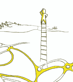 Coaching visuel et design narratif pour managers et équipes : gagnez en clarté, créez une vision partagée, agissez avec confiance.