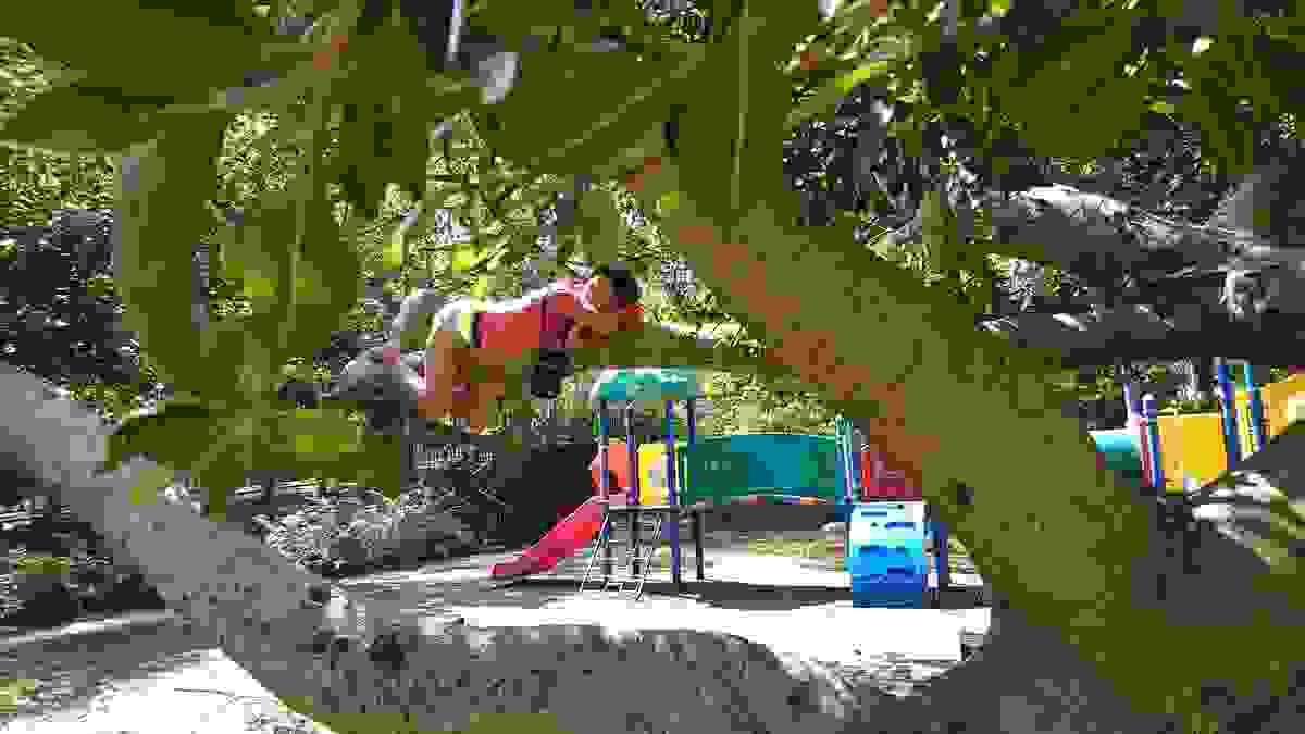 Section image
