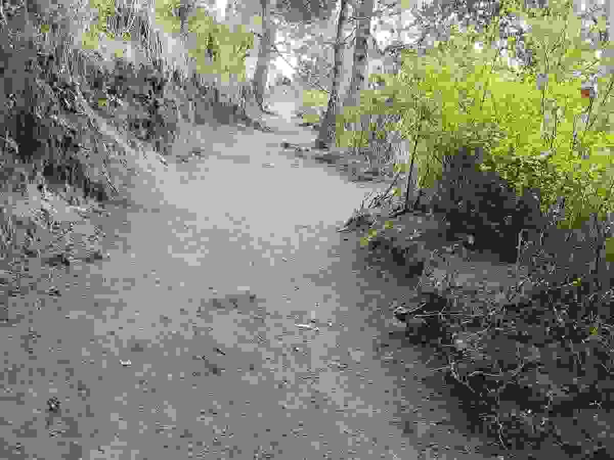 Section image