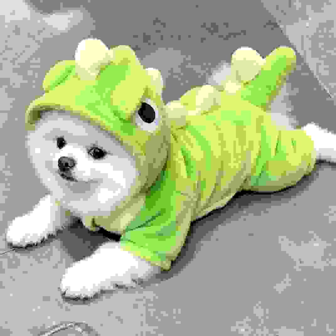 Dinosaur Pet Cloth Dinosaur Pet Cloth