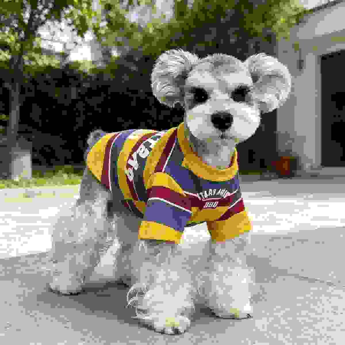 Breathable Pet Cloth Breathable Pet Cloth