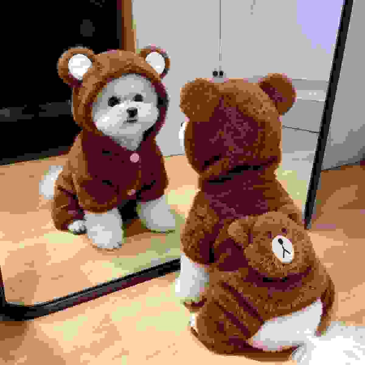 Panda Dog Cloth Panda Dog Cloth