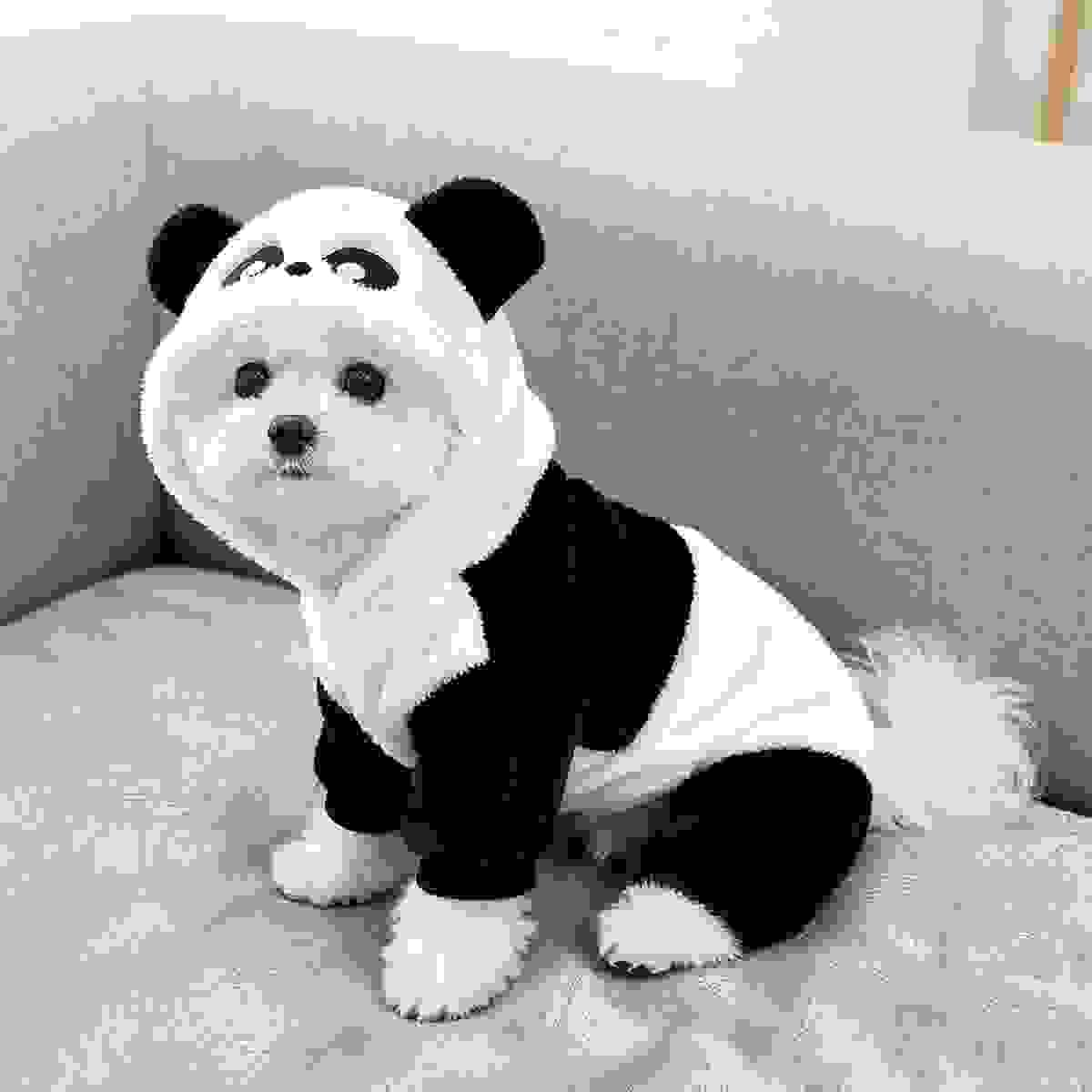 Panda Dog Cloth Panda Dog Cloth