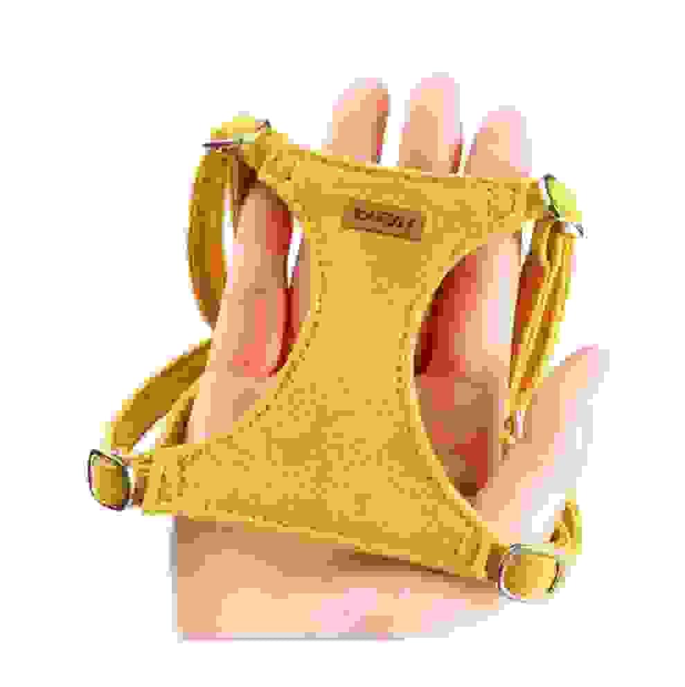 Section image