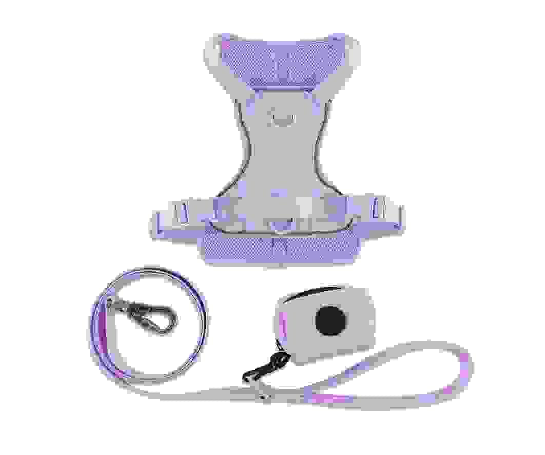 Section image