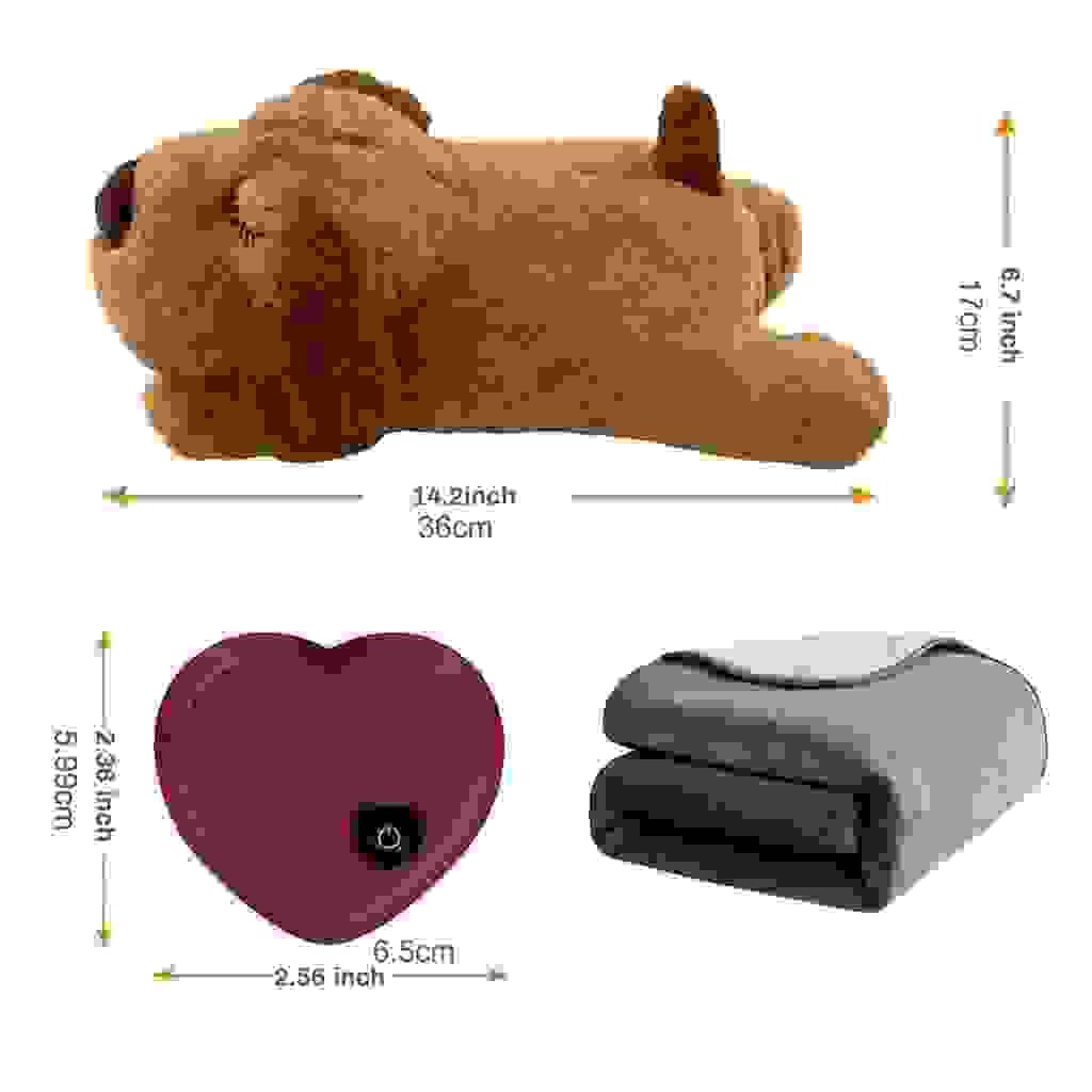 Section image