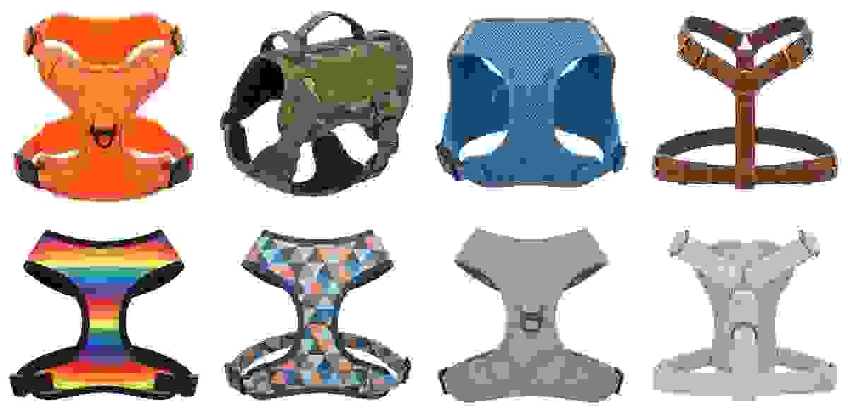 Section image