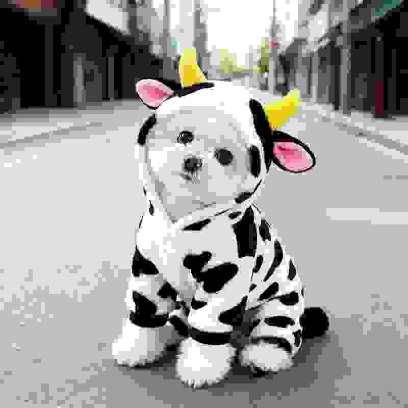 Cow Print Dog Cloth Cow Print Dog Cloth