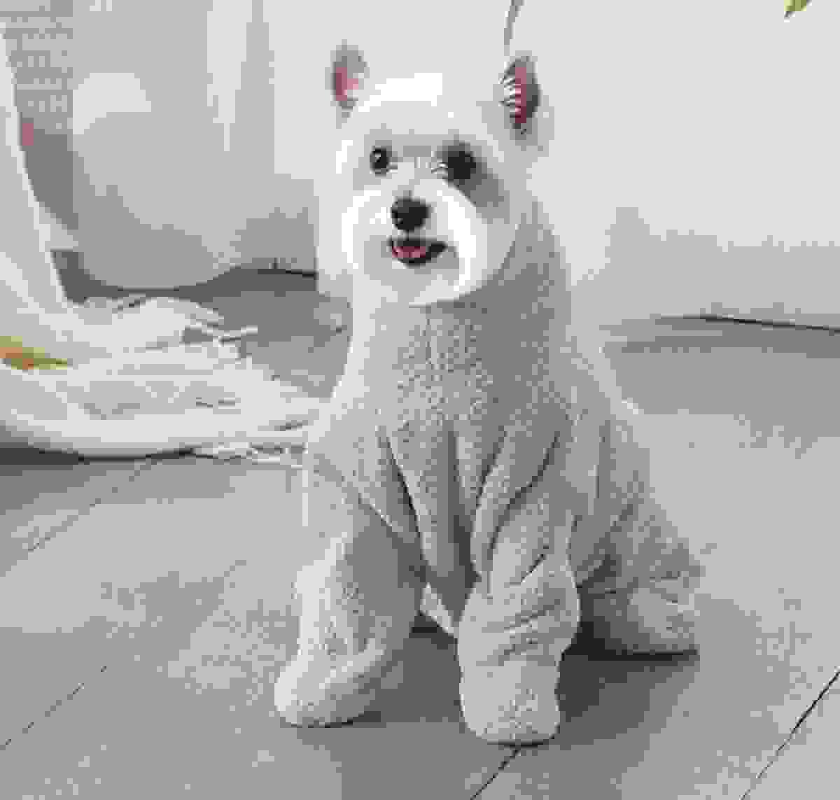 Quick Drying Dog Bathrobe Quick Drying Dog Bathrobe