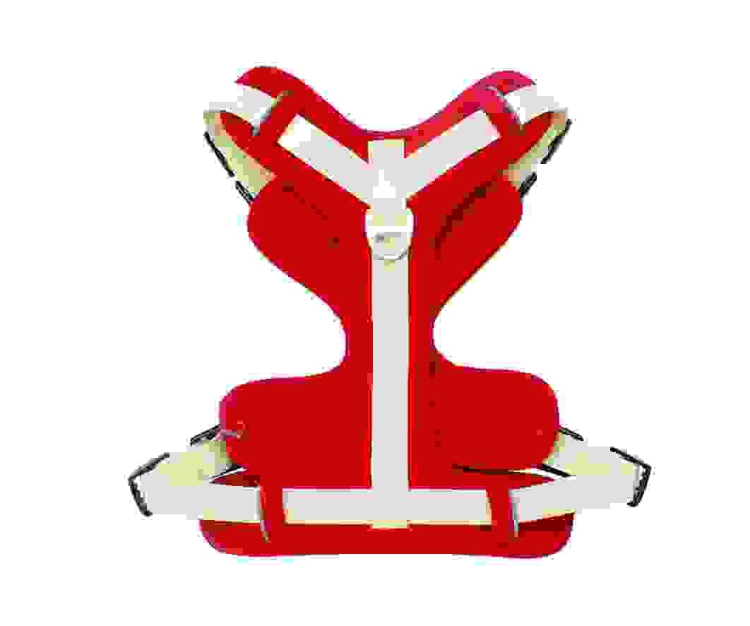Section image