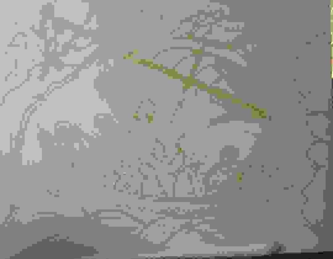 broken image