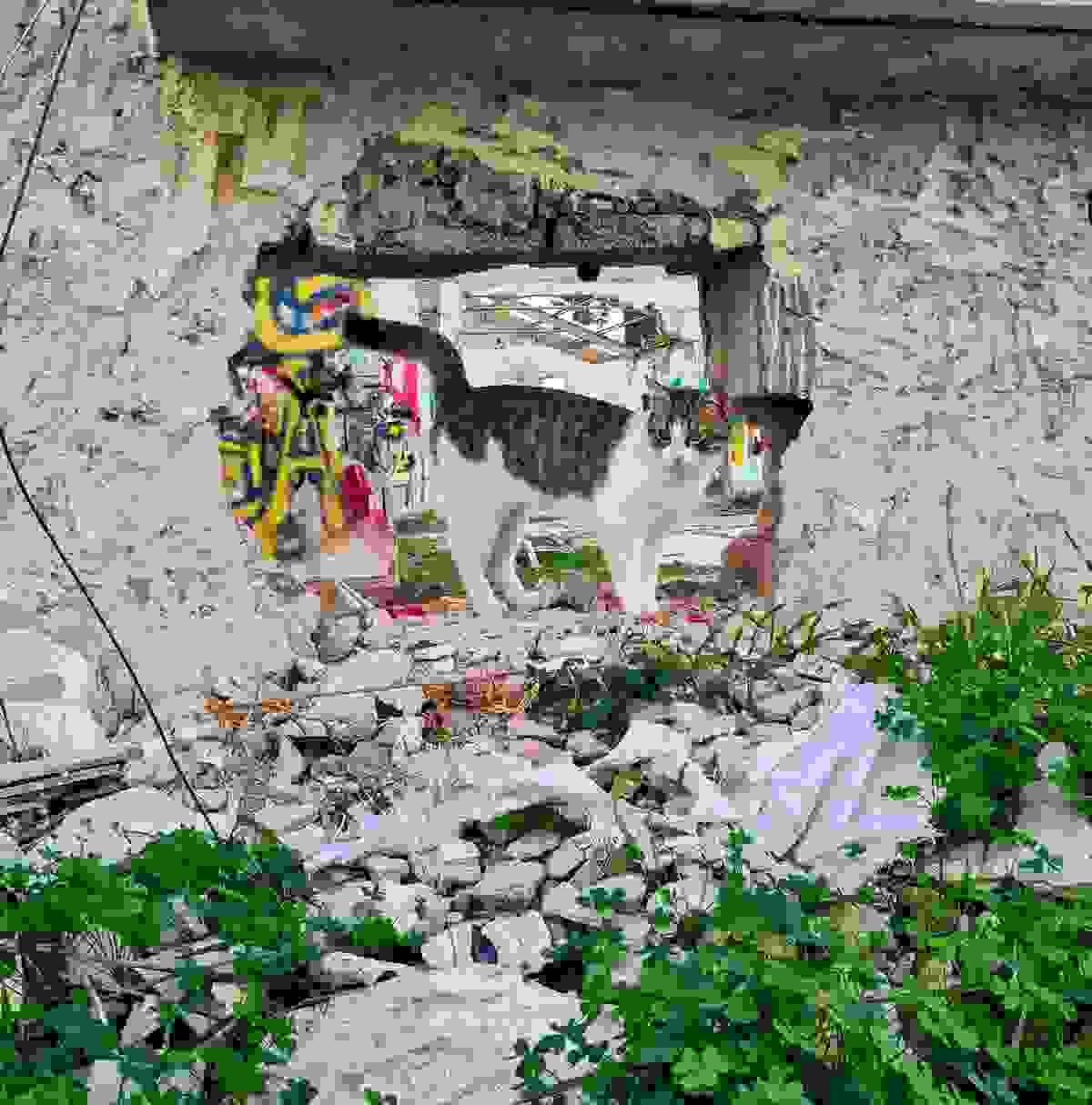 Section image