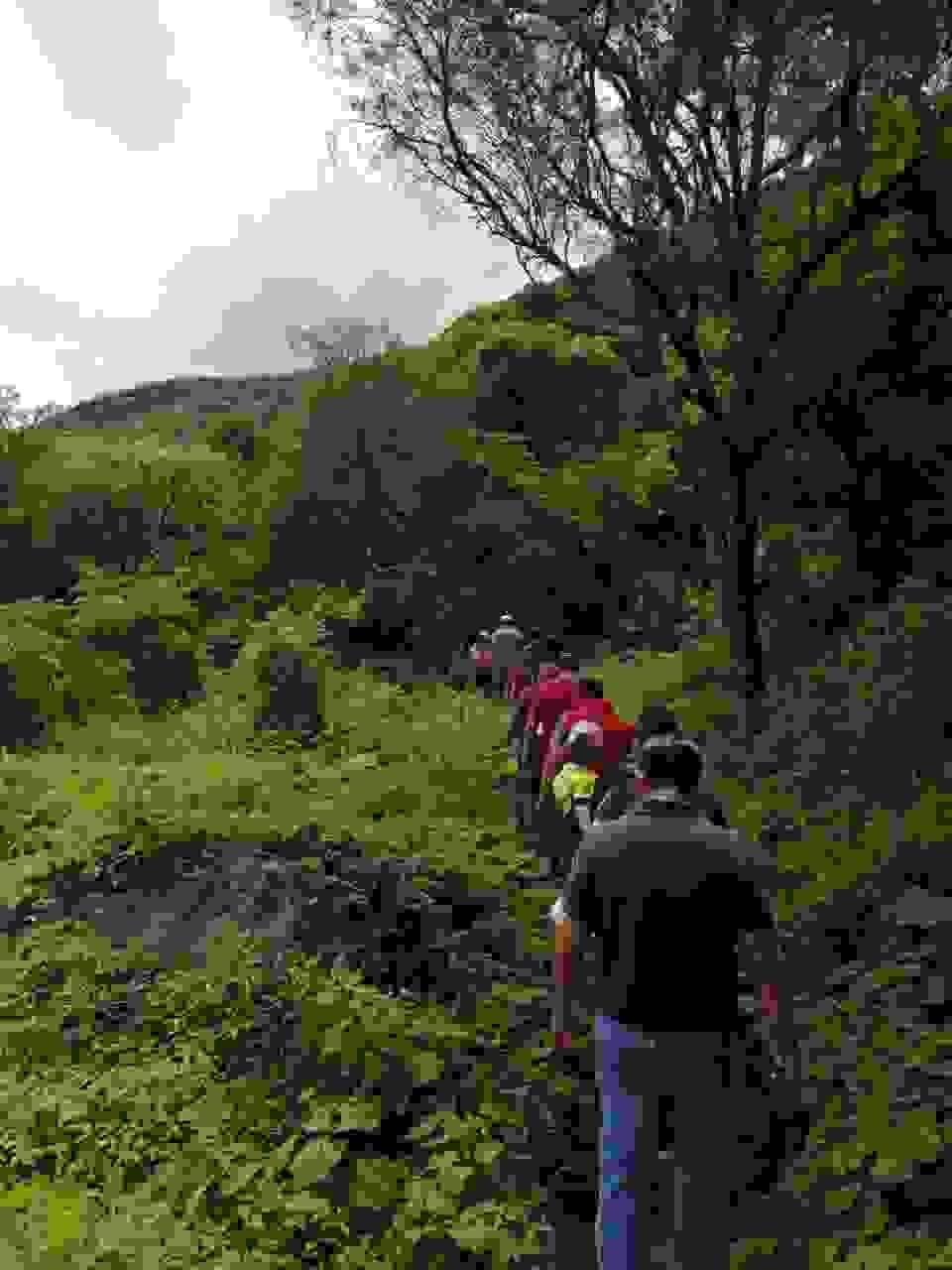 Section image