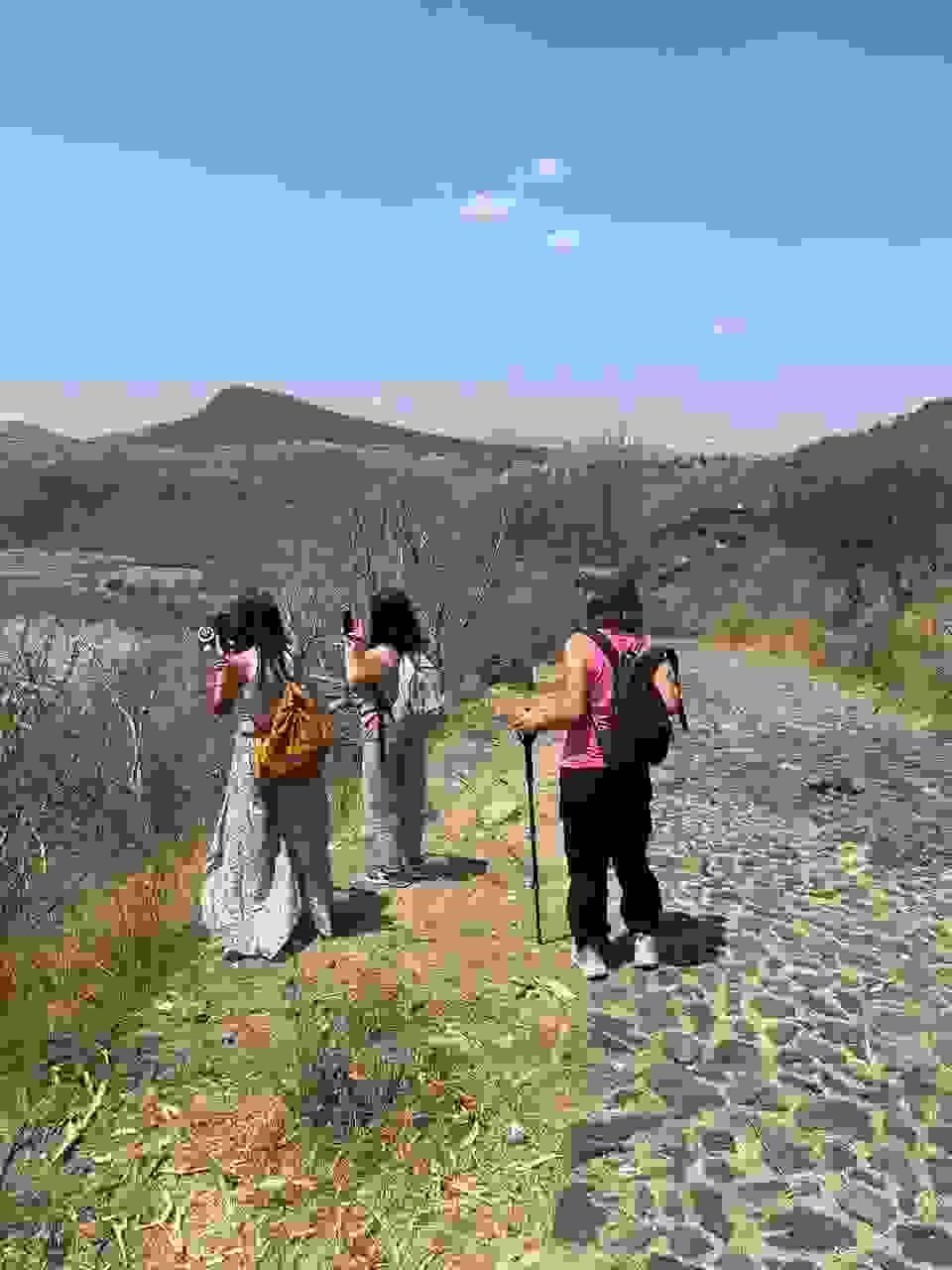 Section image