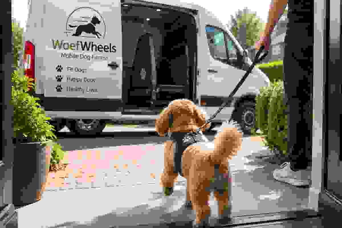 Our onsite treadmill sessions are tailored to meet the unique needs of your dog. Whether your pet requires weight management or increased stamina, our professional trainers will create a customized program that ensures their fitness and well-being. Personalized Training Sessions What We Offer Providing onsite treadmill sessions for dogs Our onsite treadmill sessions are tailored to meet the unique needs of your dog. Whether your pet requires weight management or increased stamina, our professional trainers will create a customized program that ensures their fitness and well-being. Personalized Training Sessions What We Offer Providing onsite treadmill sessions for dogs