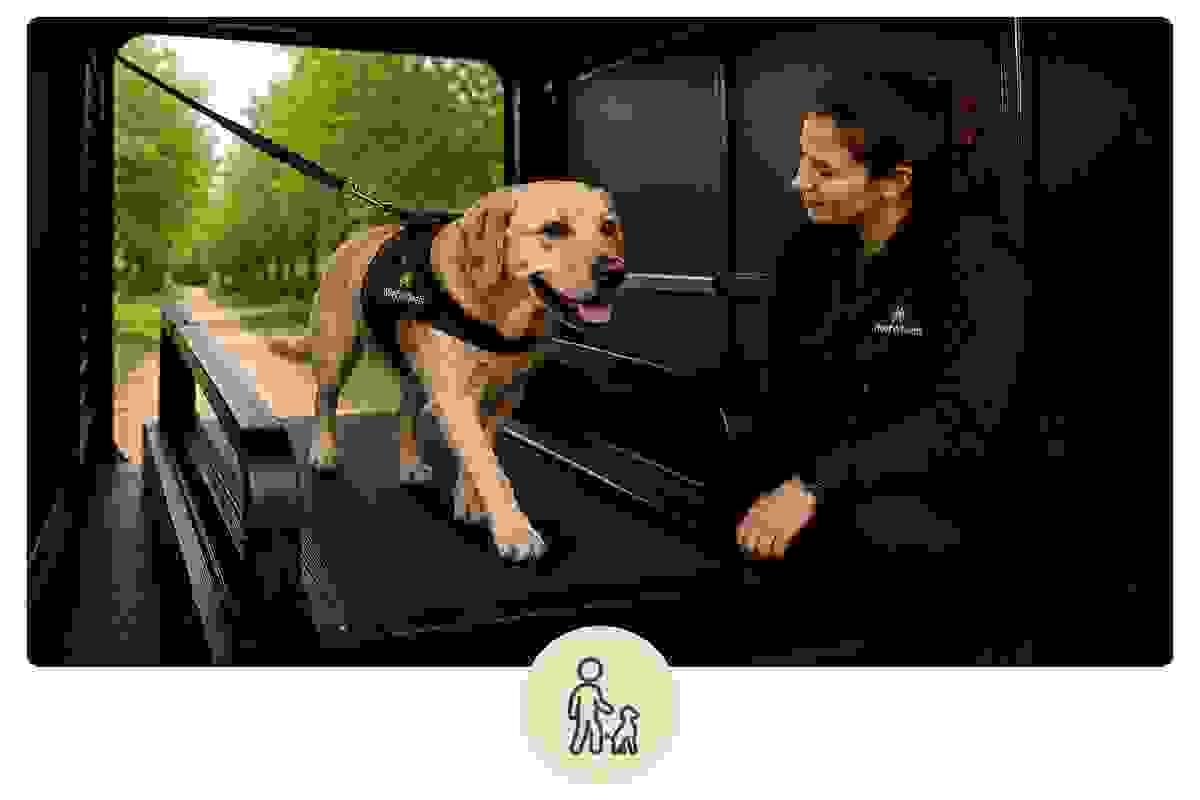 We create customized treadmill sessions tailored to your dog's individual needs, promoting effective exercise and wellness. Personalized Training Plans What We Offer Providing onsite treadmill sessions for dogs We create customized treadmill sessions tailored to your dog's individual needs, promoting effective exercise and wellness. Personalized Training Plans What We Offer Providing onsite treadmill sessions for dogs