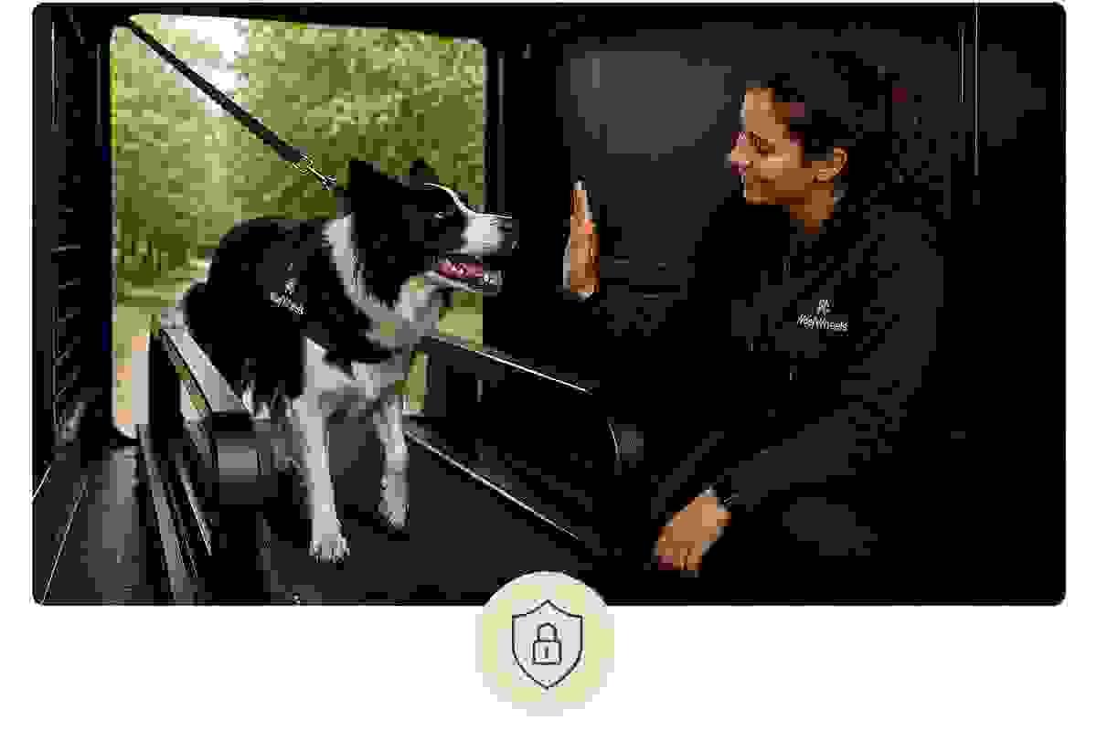 Our trained professionals supervise each session, ensuring your dog exercises safely and effectively. Expert Guidance What We Offer Providing onsite treadmill sessions for dogs Our trained professionals supervise each session, ensuring your dog exercises safely and effectively. Expert Guidance What We Offer Providing onsite treadmill sessions for dogs