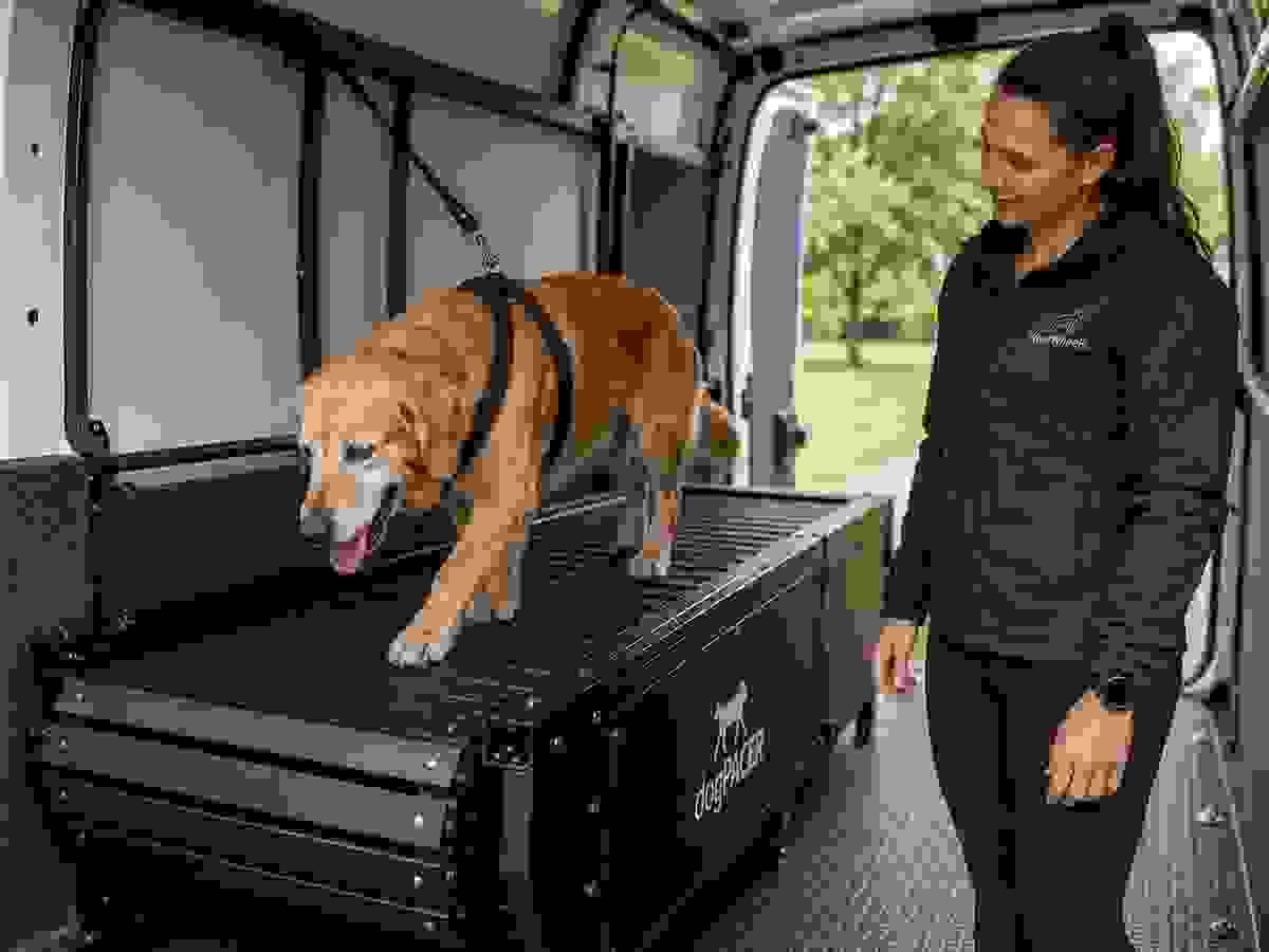 Our experienced trainers are passionate about dog fitness and wellness. They provide expert guidance during each session, ensuring that your dog exercises correctly and effectively to achieve the desired results. Expert Guidance What We Offer Providing onsite treadmill sessions for dogs Our experienced trainers are passionate about dog fitness and wellness. They provide expert guidance during each session, ensuring that your dog exercises correctly and effectively to achieve the desired results. Expert Guidance What We Offer Providing onsite treadmill sessions for dogs