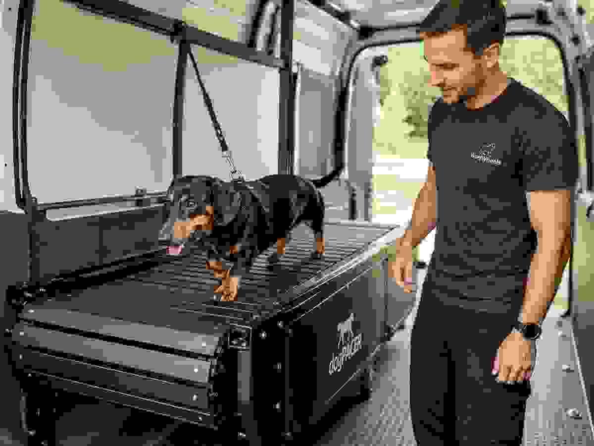 Our experienced trainers are passionate about dog fitness and wellness. They provide expert guidance during each session, ensuring that your dog exercises correctly and effectively to achieve the desired results. Expert Guidance What We Offer Providing onsite treadmill sessions for dogs Our experienced trainers are passionate about dog fitness and wellness. They provide expert guidance during each session, ensuring that your dog exercises correctly and effectively to achieve the desired results. Expert Guidance What We Offer Providing onsite treadmill sessions for dogs