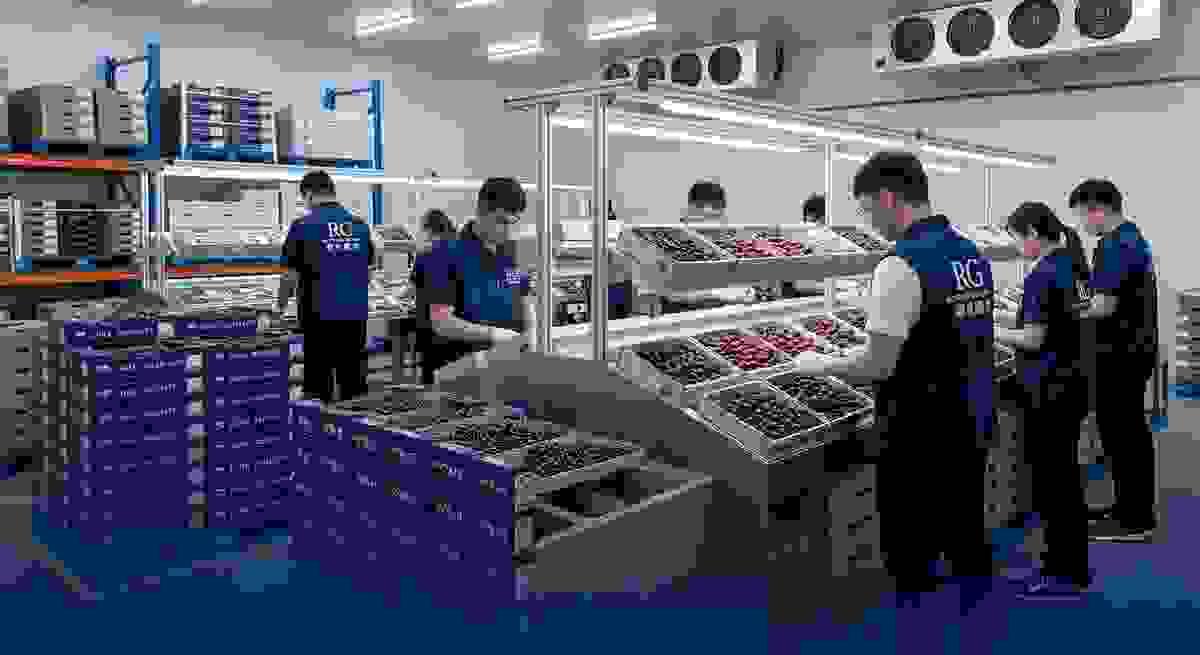 Choose our services, help you improve business efficiency, meet customer needs. Professional fruit supply chain integration service Fruit supply chain integration service Business cooperation ・ Supply cooperation ・ Fresh fruit customization Choose our services, help you improve business efficiency, meet customer needs. Professional fruit supply chain integration service Fruit supply chain integration service Business cooperation ・ Supply cooperation ・ Fresh fruit customization