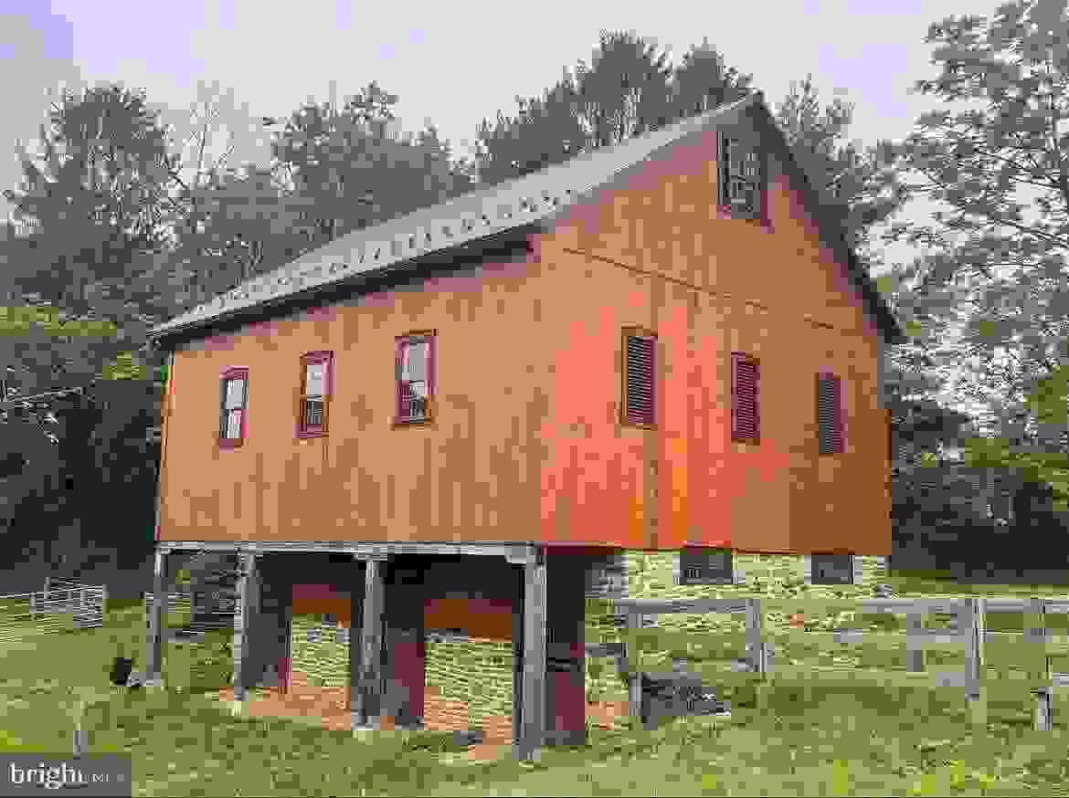 Section image