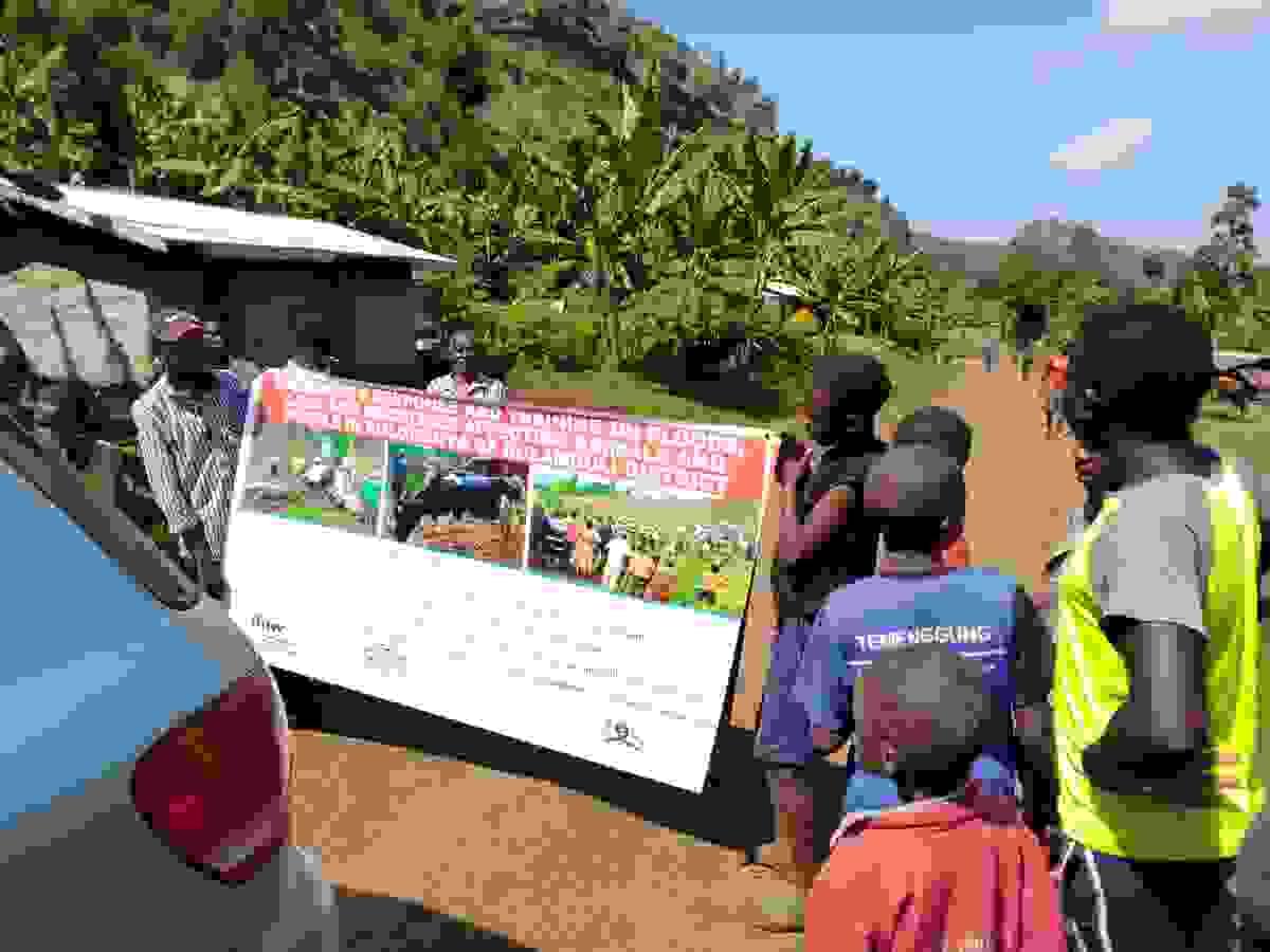 Section image
